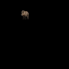 Smoothly moving boar with subtle walking animation